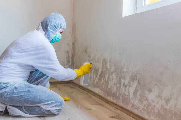 Mold Remediation specialist working in Edgewood